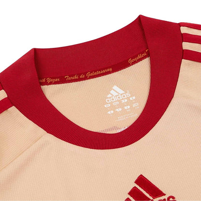 Galatasaray uitshirt 2010-2011